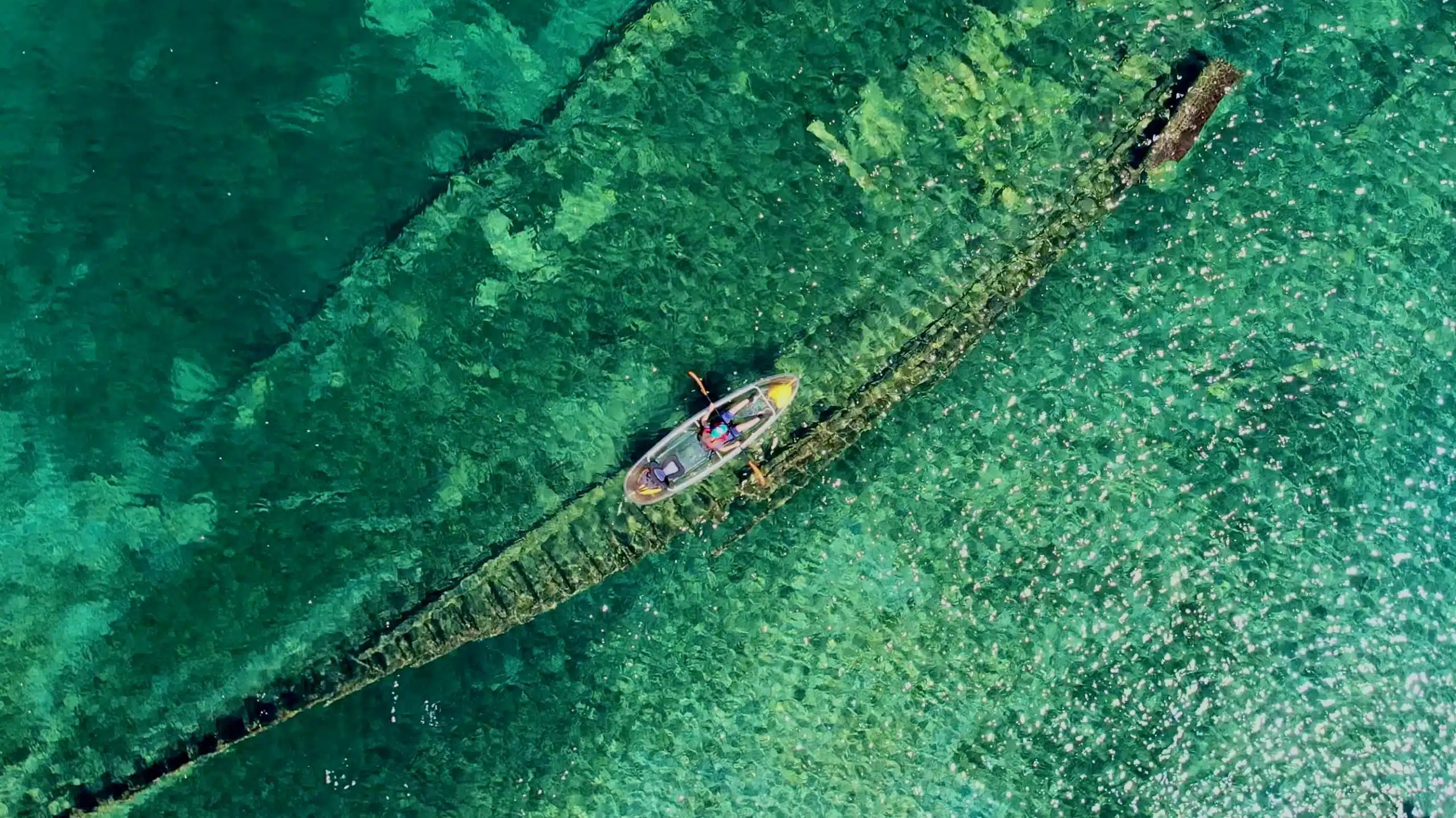shipwreck, city of grand rapids, tobermory, cruises, bruce anchor, glass bottom boat