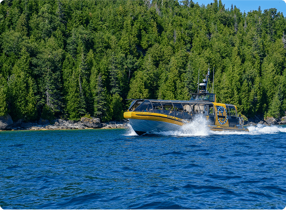 A yellow tour boat speeds across blue water near a forested shoreline with lush green trees under a clear sky.