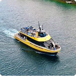 A yellow and black tour boat with people on deck cruises through blue-green waters, surrounded by lush greenery.