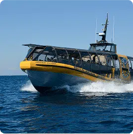 A yellow and black speedboat cruises swiftly through the ocean under a clear blue sky, creating a dynamic, watery spray behind it.