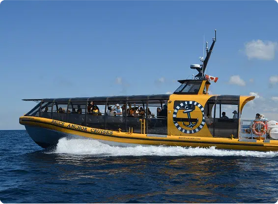 A yellow cruise boat named "Bruce Anchor Cruises" sails on open water with several people onboard under a clear blue sky.