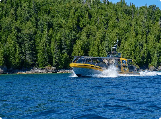 A yellow tour boat speeds across clear blue waters near a dense forested shoreline, under a bright blue sky.