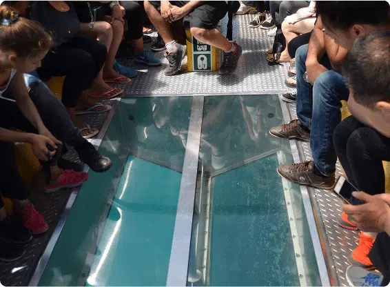 People on a glass-bottom boat observe the water below, seated closely together, with legs visible around a clear viewing panel surrounded by metal flooring.