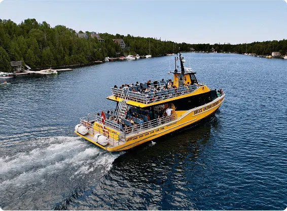 A yellow tour boat with people onboard navigates a serene forest-lined waterway, with waterfront houses in the background under a clear sky.
