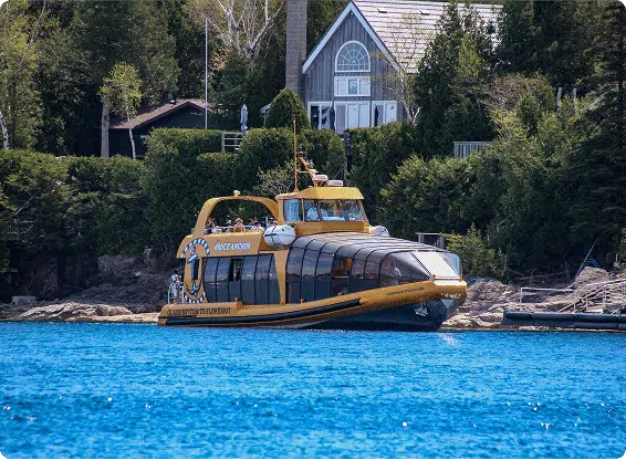 A yellow tour boat, "Bruce Anchor," floats near a tree-lined shore with houses in the background, under a clear blue sky.