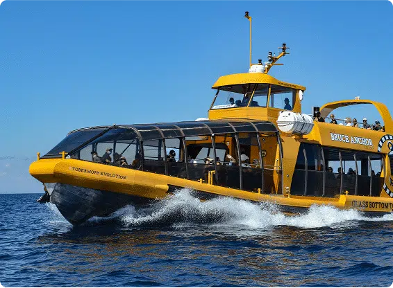 A yellow ferry named "Bruce Anchor" glides through the water, carrying several people. It's a glass-bottom tour boat named "Tobermory Evolution."
