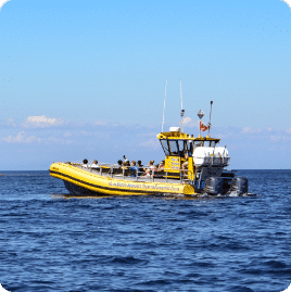 A yellow boat with several people aboard navigates a calm sea under a clear blue sky, displaying text "San Pedro-Ripollet Boat" on its side.